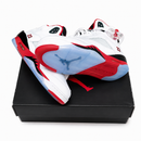 ZAPATOS JORDAN AAA  CHIP